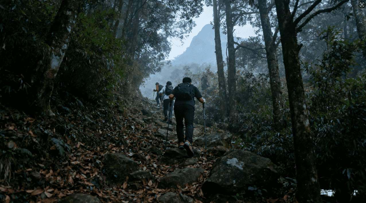 最佳小火箭加速器网站排行榜解析